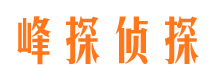 阜城调查取证